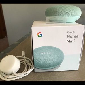 Google Home Mini- mint green